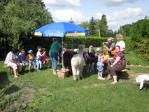 img-0005-kopie-2.jpg