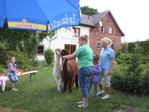 img-0007-kopie.jpg